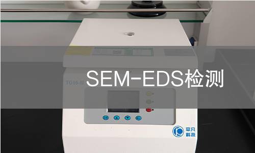 SEM-EDS检测