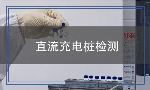 直流充电桩检测,直流充电桩检测报告