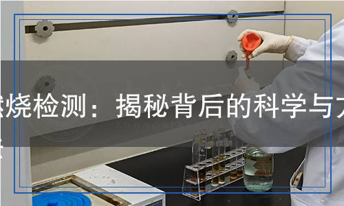 燃烧检测,燃烧检测报告