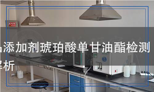 食品添加剂琥珀酸单甘油酯检测,食品添加剂琥珀酸单甘油酯检测报告