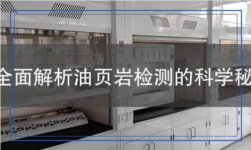 油页岩检测,油页岩检测报告