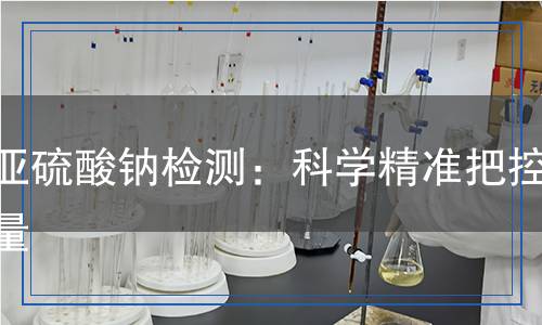 焦亚硫酸钠检测：科学精准把控质量
