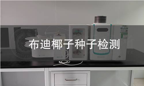 布迪椰子种子检测,布迪椰子种子检测机构,布迪椰子种子检测报告,中析研究所检测中心