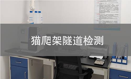 猫爬架隧道检测,猫爬架隧道检测机构,猫爬架隧道用途范围