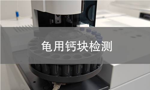 龟用钙块检测,龟用钙块检测机构,龟用钙块检测