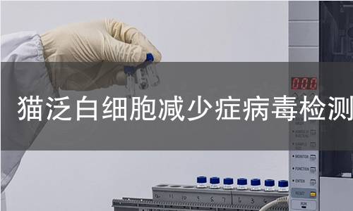 猫泛白细胞减少症病毒检测,猫泛白细胞减少症病毒检测机构,猫泛白细胞减少症病毒检测产品