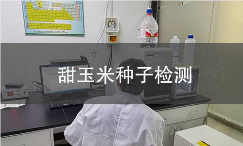 甜玉米种子检测,甜玉米种子检测机构,甜玉米种子检测报告,中析研究所检测中心
