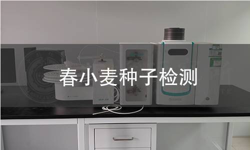 春小麦种子检测,春小麦种子检测机构,春小麦种子检测报告,中析检测中心
