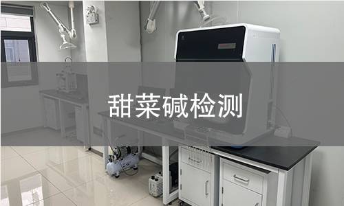 甜菜碱检测,甜菜碱检测机构,甜菜碱检测报告,中析检测中心