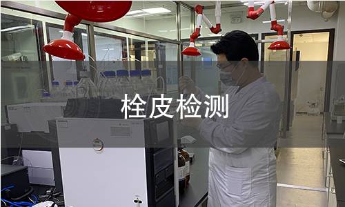 栓皮检测,栓皮检测机构,栓皮检测报告,中析检测中心