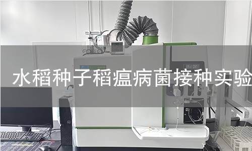 水稻种子稻瘟病菌接种实验,水稻种子稻瘟病菌接种实验机构,水稻种子稻瘟病菌接种实验报告,中析研究所检测中心