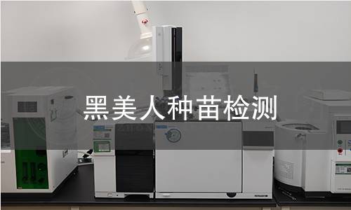 黑美人种苗检测,黑美人种苗检测机构,黑美人种苗检测报告,中析检测中心