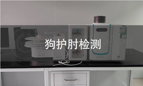 狗护肘检测,狗护肘检测机构,狗护肘材质安全性评估
