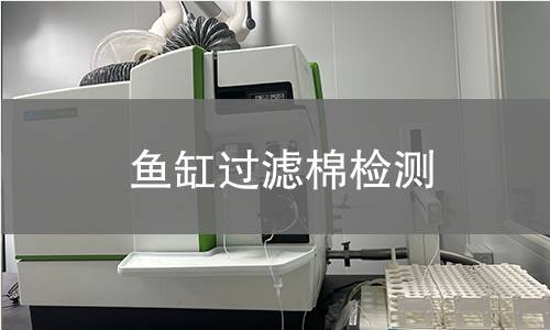 鱼缸过滤棉检测,鱼缸过滤棉检测机构,鱼缸过滤棉化学物质析出分析