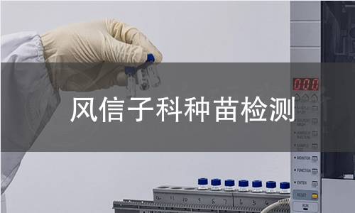 风信子科种苗检测,风信子科种苗检测机构,风信子科种苗检测报告,中析检测中心