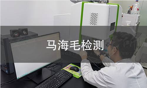 马海毛检测,马海毛检测机构,马海毛检测报告,中析研究所检测中心