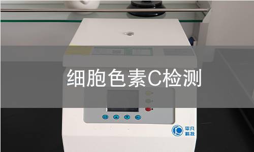 细胞色素C检测,细胞色素C检测机构,细胞色素C检测报告,中析检测中心