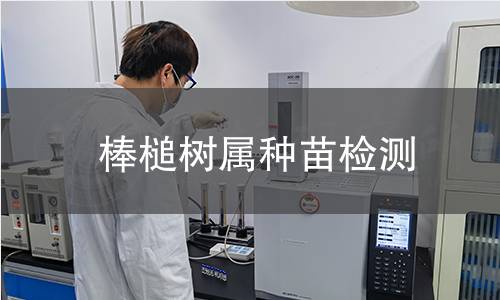 棒槌树属种苗检测,棒槌树属种苗检测机构,棒槌树属种苗检测报告,中析检测中心