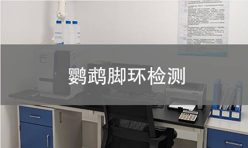 鹦鹉脚环检测,鹦鹉脚环检测机构,鹦鹉脚环检测