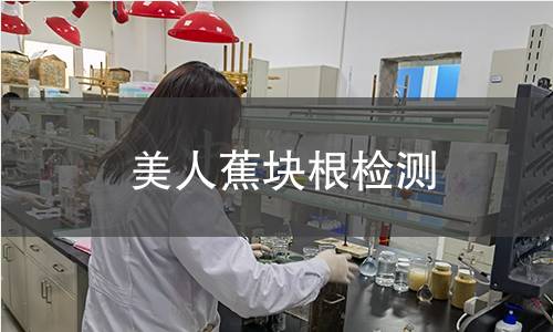 美人蕉块根检测,美人蕉块根检测机构,美人蕉块根检测报告,中析检测中心