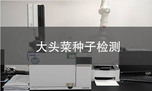 大头菜种子检测,大头菜种子检测机构,大头菜种子检测报告,中析检测中心