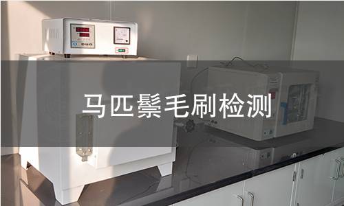 马匹鬃毛刷检测,马匹鬃毛刷检测机构,马匹鬃毛刷检测