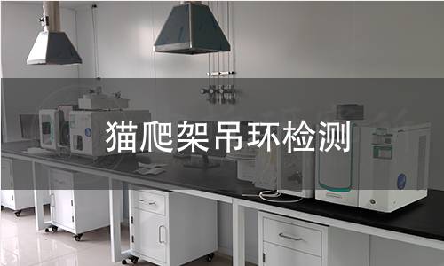 猫爬架吊环检测,猫爬架吊环检测机构,猫爬架吊环承重测试