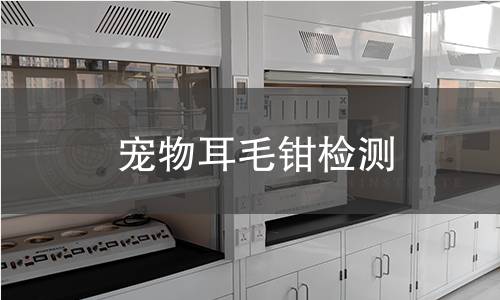 宠物耳毛钳检测,宠物耳毛钳检测机构,宠物耳毛钳检测