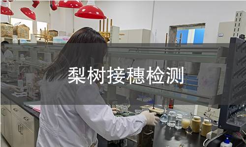 梨树接穗检测,梨树接穗检测机构,梨树接穗检测报告,北京中科光析科学技术研究所检测中心