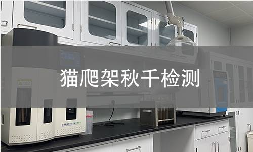 猫爬架秋千检测,猫爬架秋千检测机构,猫爬架秋千摇摆功能检测