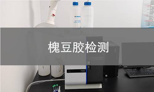 槐豆胶检测,槐豆胶检测机构,槐豆胶检测报告,中析检测中心