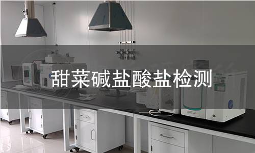 甜菜碱盐酸盐检测,甜菜碱盐酸盐检测机构,甜菜碱盐酸盐检测报告,中析研究所检测中心