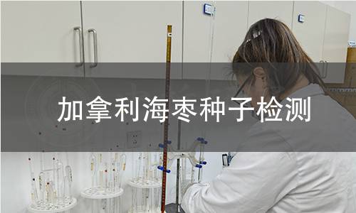 加拿利海枣种子检测,加拿利海枣种子检测机构,加拿利海枣种子检测报告,中析研究所检测中心