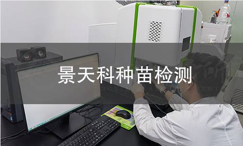 景天科种苗检测,景天科种苗检测机构,景天科种苗检测报告,北京中科光析科学技术研究所检测中心