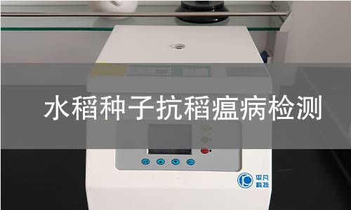 水稻种子抗稻瘟病检测,水稻种子抗稻瘟病检测机构,水稻种子抗稻瘟病检测报告,中析检测中心