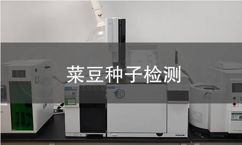 菜豆种子检测,菜豆种子检测机构,菜豆种子检测报告,中析研究所检测中心