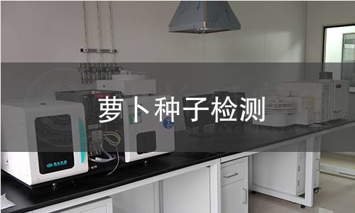 萝卜种子检测,萝卜种子检测机构,萝卜种子检测报告,中析检测中心