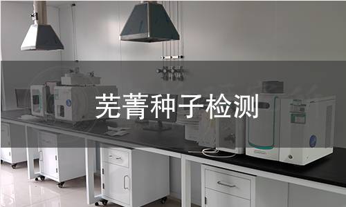 芜菁种子检测,芜菁种子检测机构,芜菁种子检测报告,中析研究所检测中心