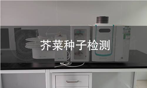 芥菜种子检测,芥菜种子检测机构,芥菜种子检测报告,中析研究所检测中心