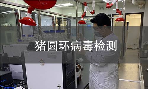 猪圆环病毒检测,猪圆环病毒检测机构,猪圆环病毒检测用途