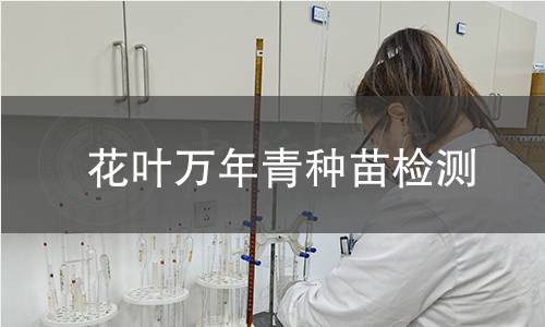 花叶万年青种苗检测,花叶万年青种苗检测机构,花叶万年青种苗检测报告,中析研究所检测中心