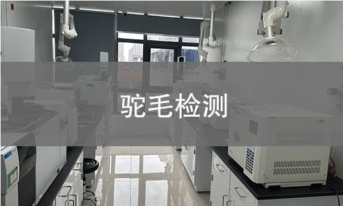 驼毛检测,驼毛检测机构,驼毛检测报告,中析检测中心