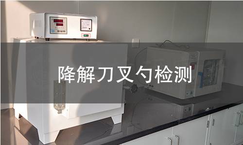 降解刀叉勺检测,降解刀叉勺检测机构,降解刀叉勺检测报告,中析研究所检测中心