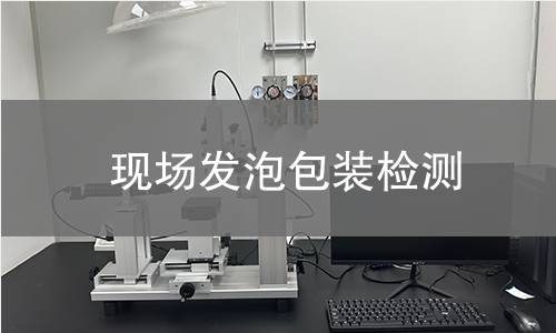 现场发泡包装检测,现场发泡包装检测机构,现场发泡包装检测报告,中析研究所检测中心