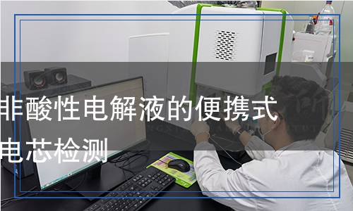 含碱性或非酸性电解液的便携式密封二次电芯检测,含碱性或非酸性电解液的便携式密封二次电芯检测报告