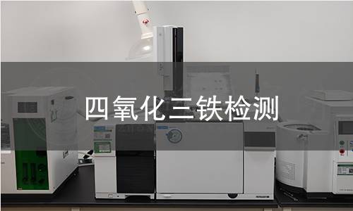 四氧化三铁检测,四氧化三铁检测机构,四氧化三铁检测报告,中析研究所检测中心