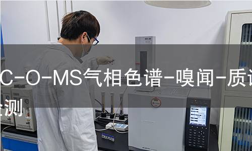GC-O-MS气相色谱-嗅闻-质谱联用检测,GC-O-MS气相色谱-嗅闻-质谱联用检测机构,GC-O-MS气相色谱-嗅闻-质谱联用检测报告,中析检测中心