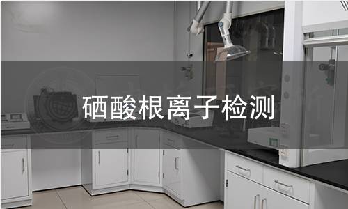 硒酸根离子检测,硒酸根离子检测机构,硒酸根离子检测报告,中析检测中心