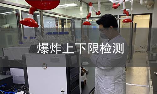 爆炸上下限检测,爆炸上下限检测机构,爆炸上下限检测报告,中析检测中心