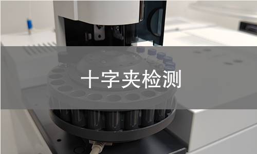 十字夹检测,十字夹检测机构,十字夹检测报告,北京中科光析科学技术研究所检测中心